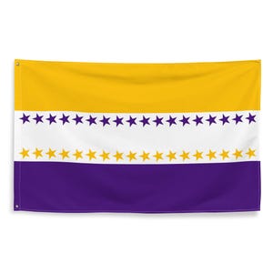 Women&#39;s Suffrage USA Flag 3x5 | Suffragette Right To Vote Banner