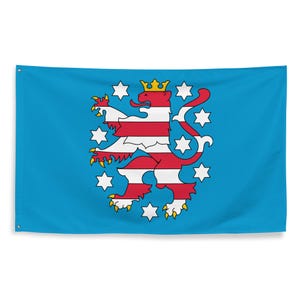 May include: A rectangular blue flag featuring a central heraldic lion with horizontal red and white stripes, a yellow crown, and yellow claws. The lion is surrounded by a circular arrangement of nine white six-pointed stars on the blue field.
