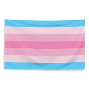 Transgender Pride Flag 3x5 | Trans LGBT MtF Male to Female Trans Woman Transfemme Banner