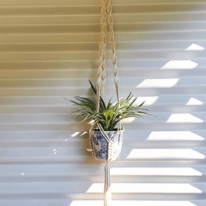 Macrame Plant Hanger | Plant Hanging | Pot Plant Hanger | Hanging Plant Display | Boho Plant Hanger