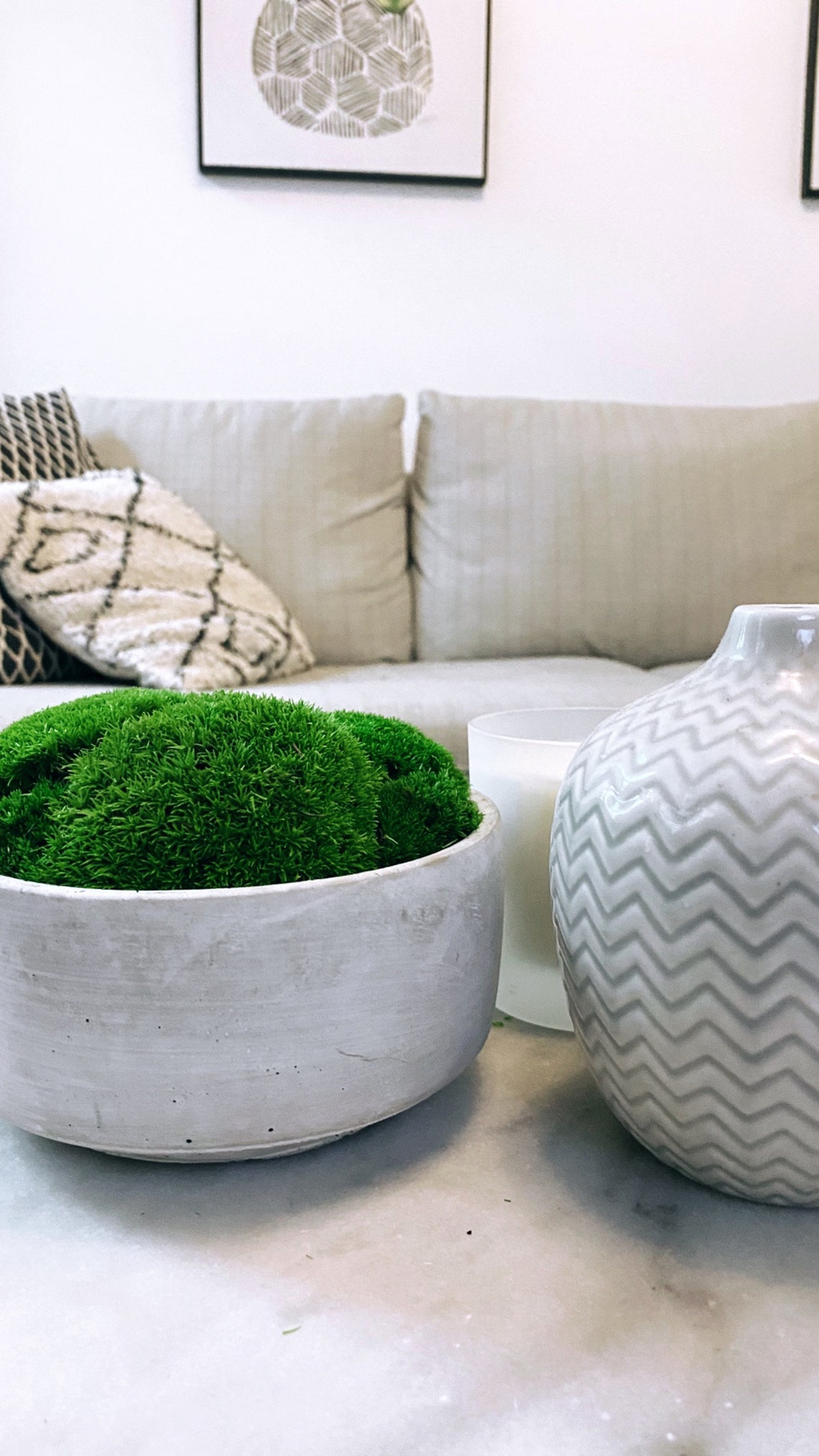 Preserved Moss Bowl Etsy