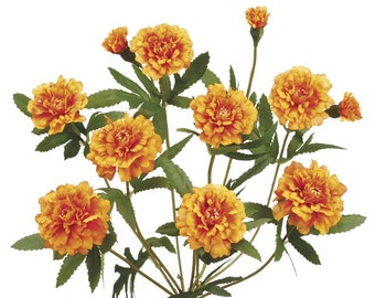 Ringelblumenstrauch 15 cm groß