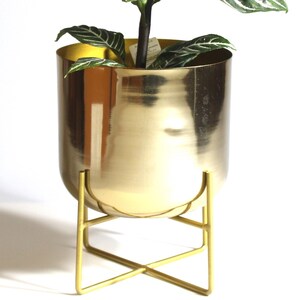 May include: A potted plant with green and white striped leaves and a yellow flower. The plant is in a gold-colored cylindrical planter, which is supported by a gold-colored metal stand.
