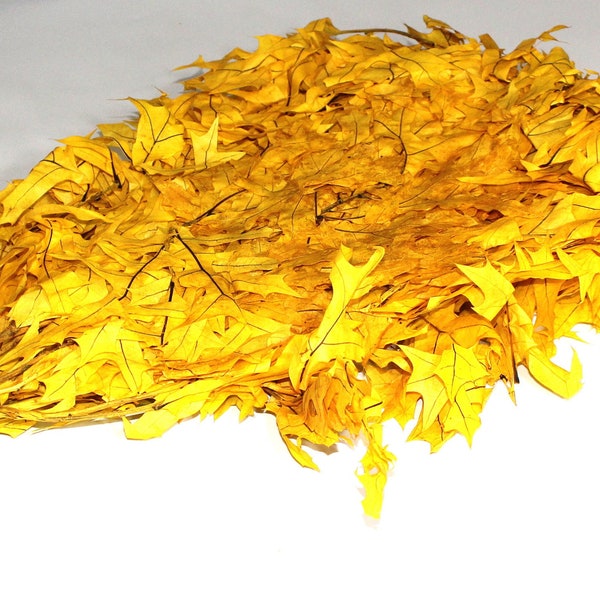 preserved yellow autmn leaves. 1lb bag
