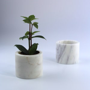 May include: Two white marble planters, one with a small green plant inside. The planter on the left has a more subtle veining pattern than the planter on the right.