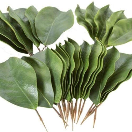 Artificial Magnolia Leaves. Pack of 30 Leaves Etsy