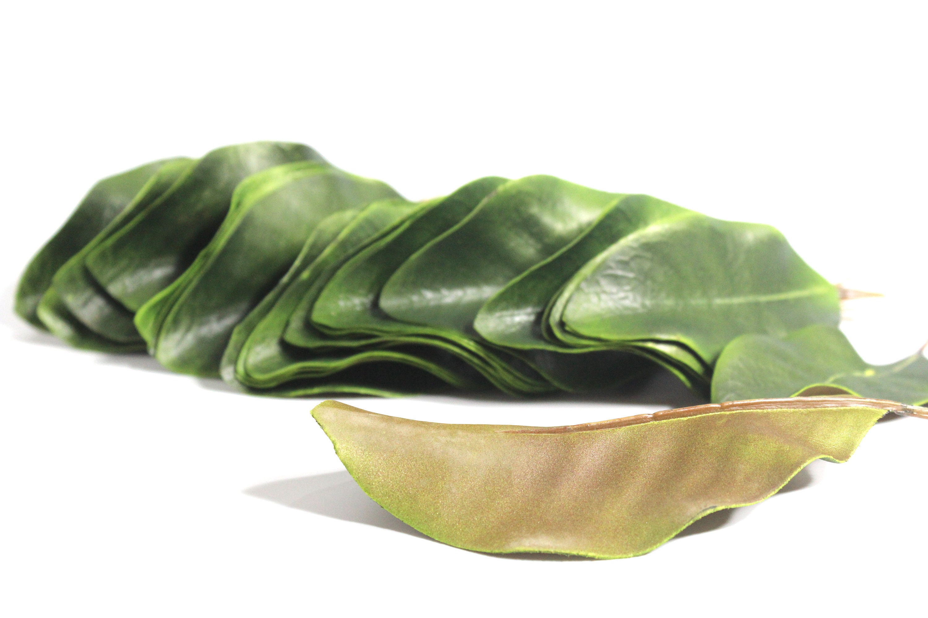 Artificial Magnolia Leaves. Pack of 30 Leaves Etsy