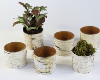 Birch-covered glass vases. set/6