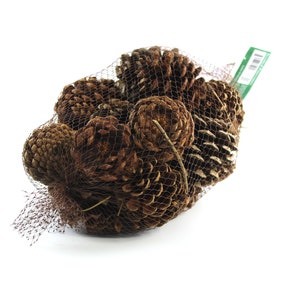 Cinnamon scented natural pinecones in a net bag.
