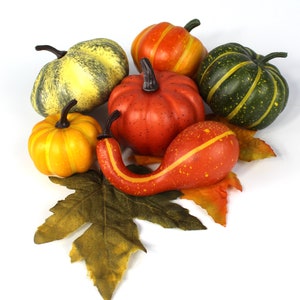 Op de afbeelding: Een groep van zes decoratieve pompoenen in verschillende kleuren en patronen, waaronder groen, oranje, geel en rood. De pompoenen zijn gerangschikt op een bed van bruine en groene bladeren.