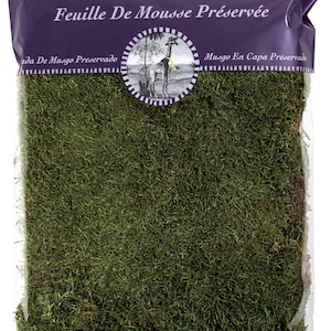 Sheet Flat Moss Stabilized Craft DIY Gardening Prefleur Wholesale