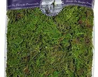 super moss brand 8oz bag preserved moss