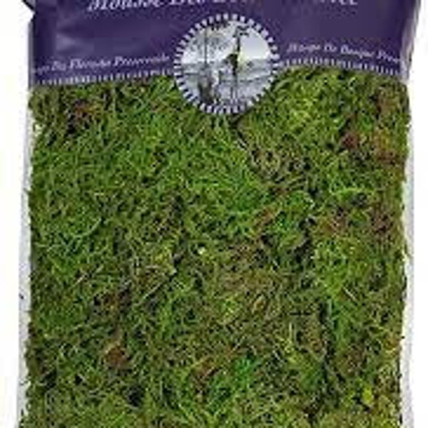 super moss brand 8oz bag preserved moss