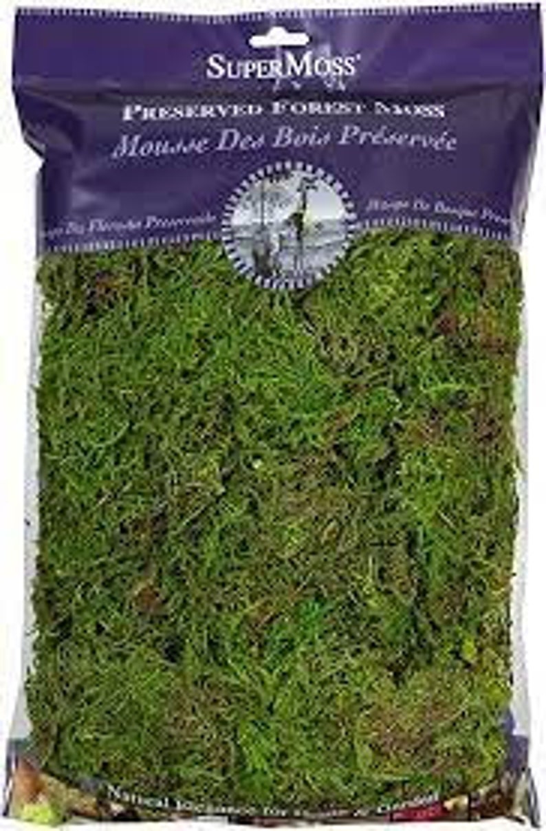 Super Moss Brand 8oz Bag Preserved Moss Etsy