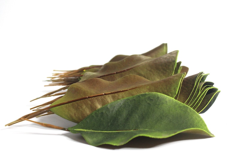 Artificial Magnolia Leaves. Pack of 30 Leaves Etsy