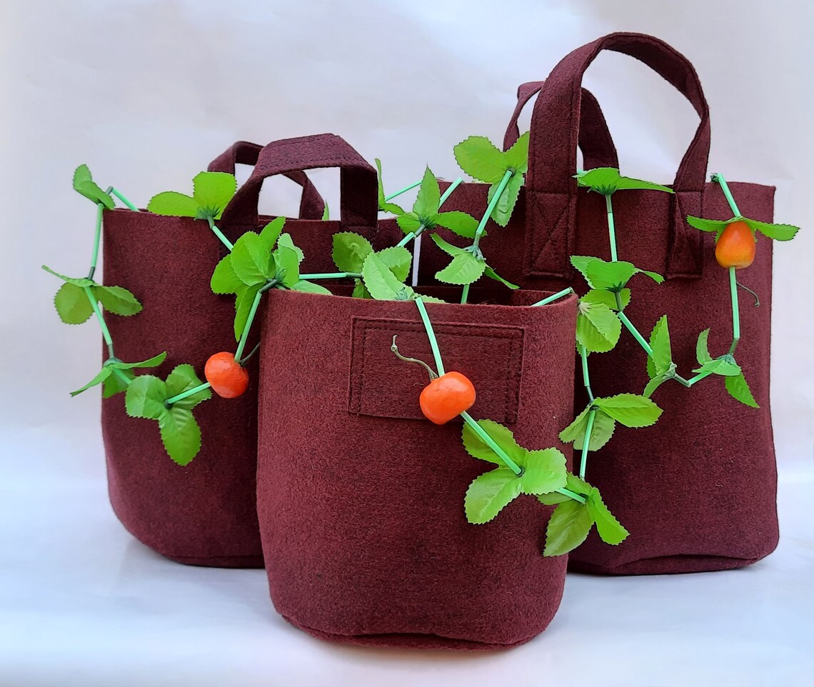 2 Pack Best Grow Bags for Plant Flowers Vegetables Etsy