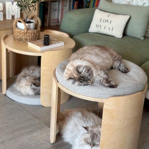 UOMA modulaire multifunctionele tafel | Huisdiervriendelijke stapelbare plank, zitting, salontafel | Optioneel gezellig kussen