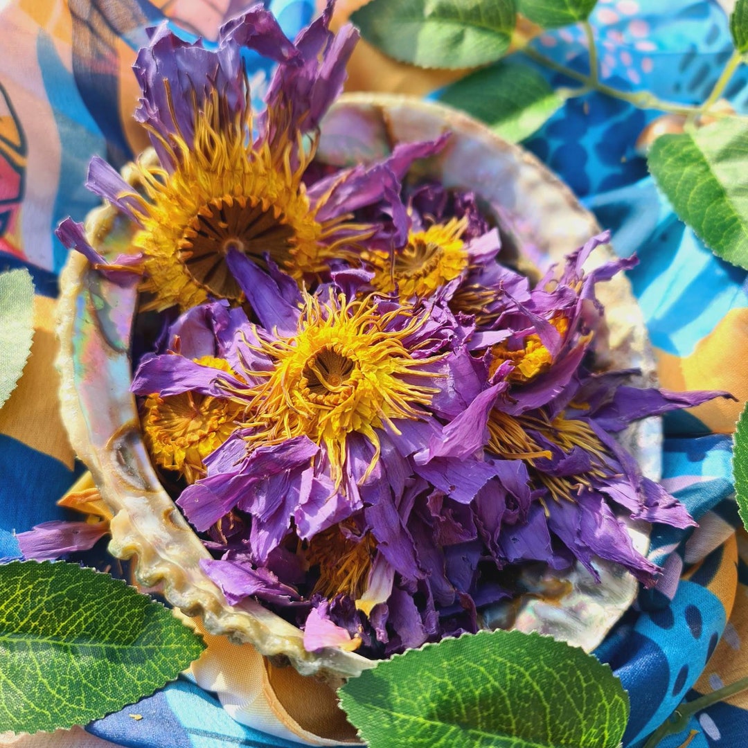 Blue Lotus  Calming and Relaxing Herbal Tea with Blue Lotus Flowers –  Ceylon Organic