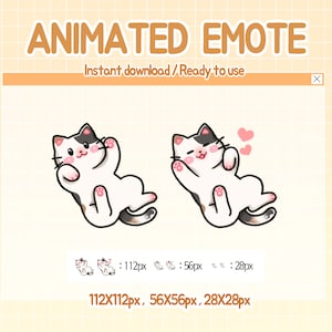 Twitch animated emote cute cat emotes.