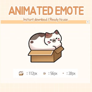 Twitch cute cat animated emotes.