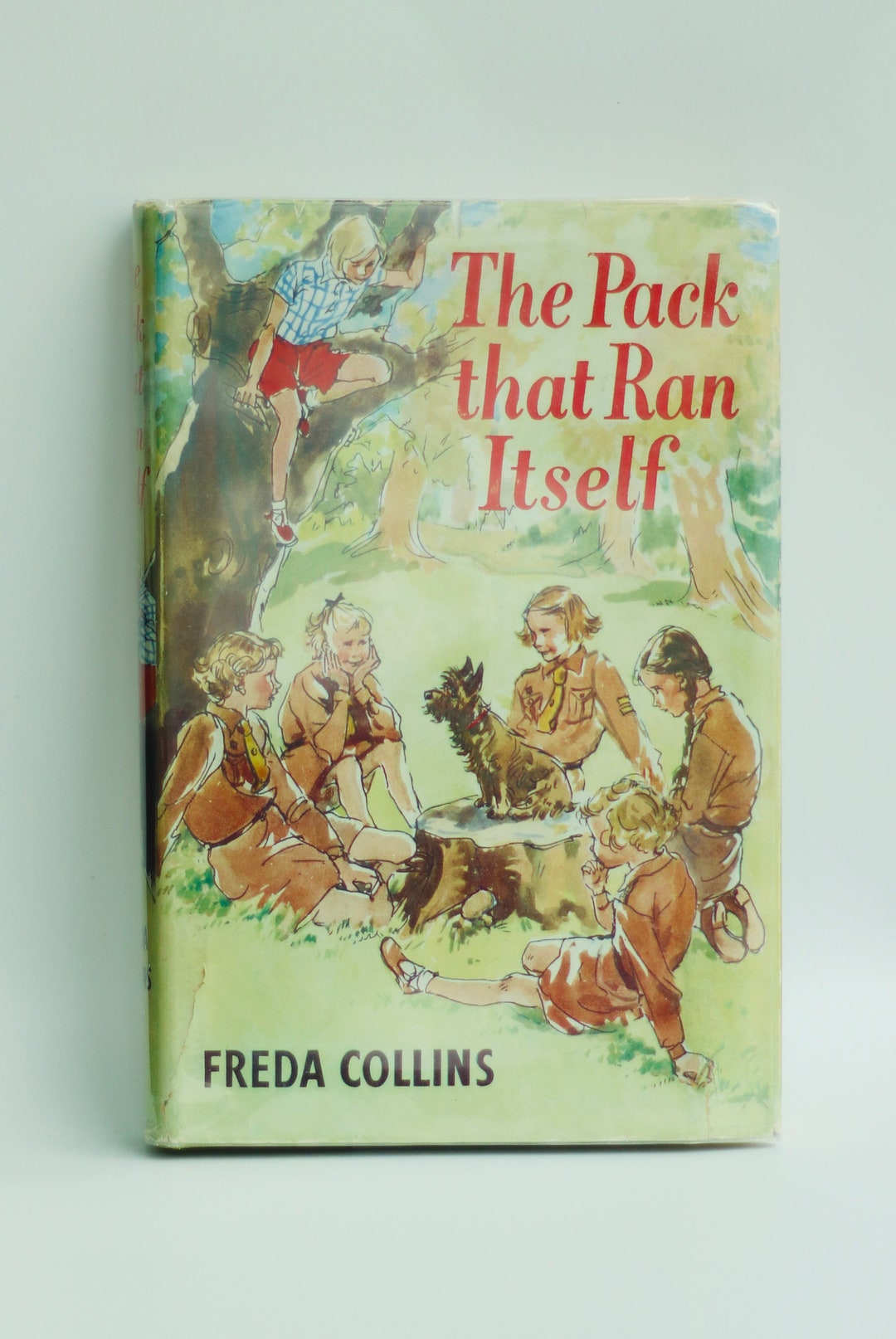 Freda Collins The Pack That Ran Itself-by Freda Collins- A 1955 Brownies Book - Etsy ...