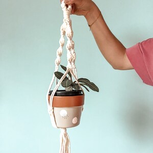 Peut inclure: Suspension en macramé crème avec un pot en céramique beige et marron. Le pot présente des pois blancs et contient une plante verte. Le support est tenu par une main sur un fond bleu clair.