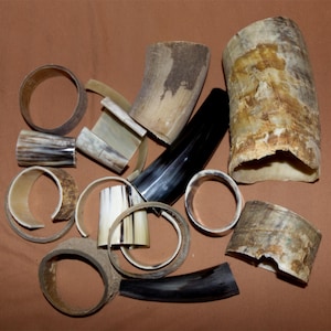 Könnte beinhalten: Eine Sammlung von Hornstücken in verschiedenen Formen und Größen. Einige sind zu Ringen geschnitten, während andere in ihrer natürlichen Form sind. Die Hörner sind in einer Mischung aus hell- und dunkelbraunen Farben.