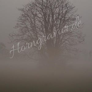 Könnte beinhalten: Ein einzelner kahler Baum steht auf einem nebligen Feld. Der Baum ist vor dem grauen Himmel silhouettiert, und der Nebel ist dick und weiß.