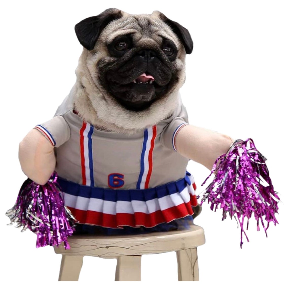 Dog Cheerleader Outfit
 Cheerleader Dog Costume