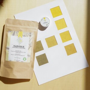 The Ultimate Natural Dye Set image 6