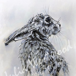 Original hare ink drawing