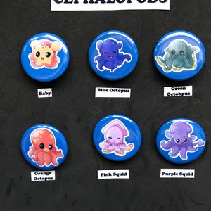 Cephalopods Buttons/Cephalopods/Buttons/Octopus/Squid/Digital Art/Art/Cute Buttons/Pin-back Buttons