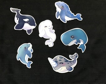 Whale Stickers/Whales/Stickers/Cute Stickers/Beluga/Sperm Whale/Dolphin/Humpback/Narwhal/Orca