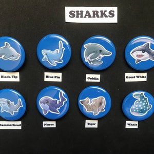 May include: A set of 10 blue and white round buttons with cartoon images of different types of sharks. Each button has a white label underneath with the name of the shark species: Black Tip, Blue Fin, Goblin, Great White, Hammerhead, Nurse, Tiger, Whale.