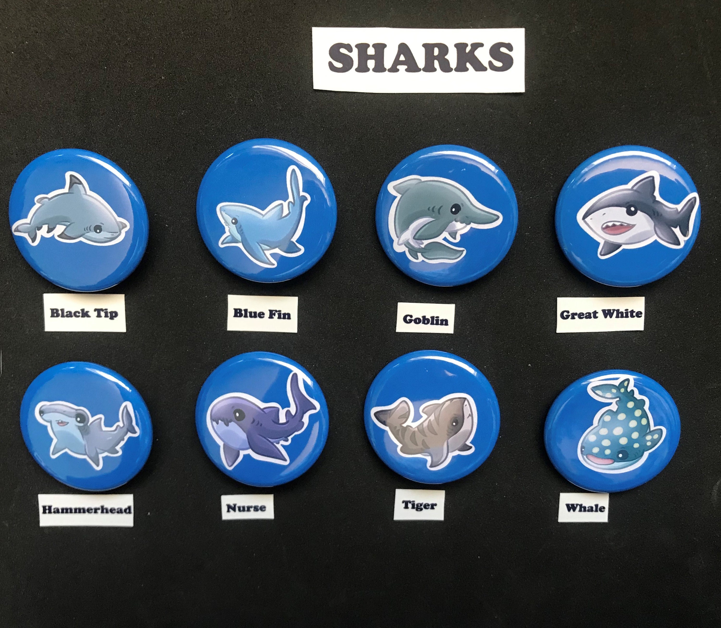 Shark Buttons/sharks/buttons/round Buttons/cute Buttons/blacktip ...