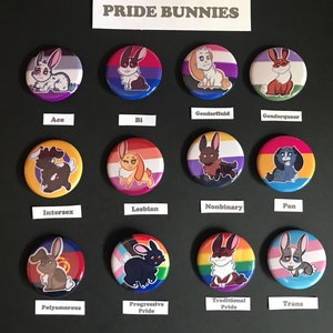 Puede incluir: Un conjunto de 12 botones con temática de banderas del orgullo que presentan conejos de dibujos animados. Cada botón tiene una bandera del orgullo diferente y un conejo con un esquema de color diferente. Las banderas incluyen ace, bi, genderfluid, genderqueer, intersex, lesbiana, no binario, pan, poliamoroso, orgullo progresivo, orgullo tradicional y trans.