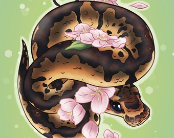 Schlange 'Clown Python'/Schlange/Python/Clown Python/Art/8x10 Print/Kunstdruck