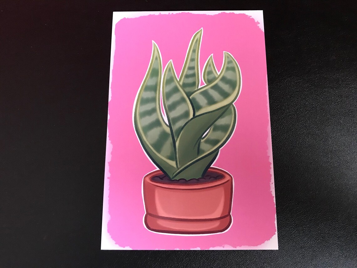 Houseplant Snake Plant Print Etsy