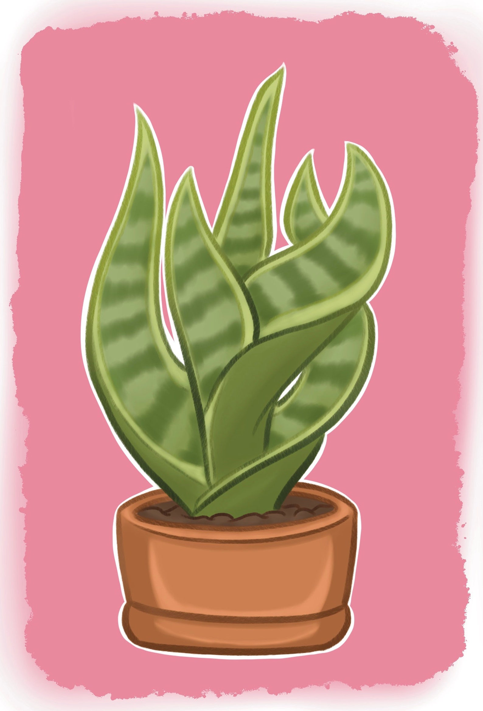 Houseplant Snake Plant Print Etsy