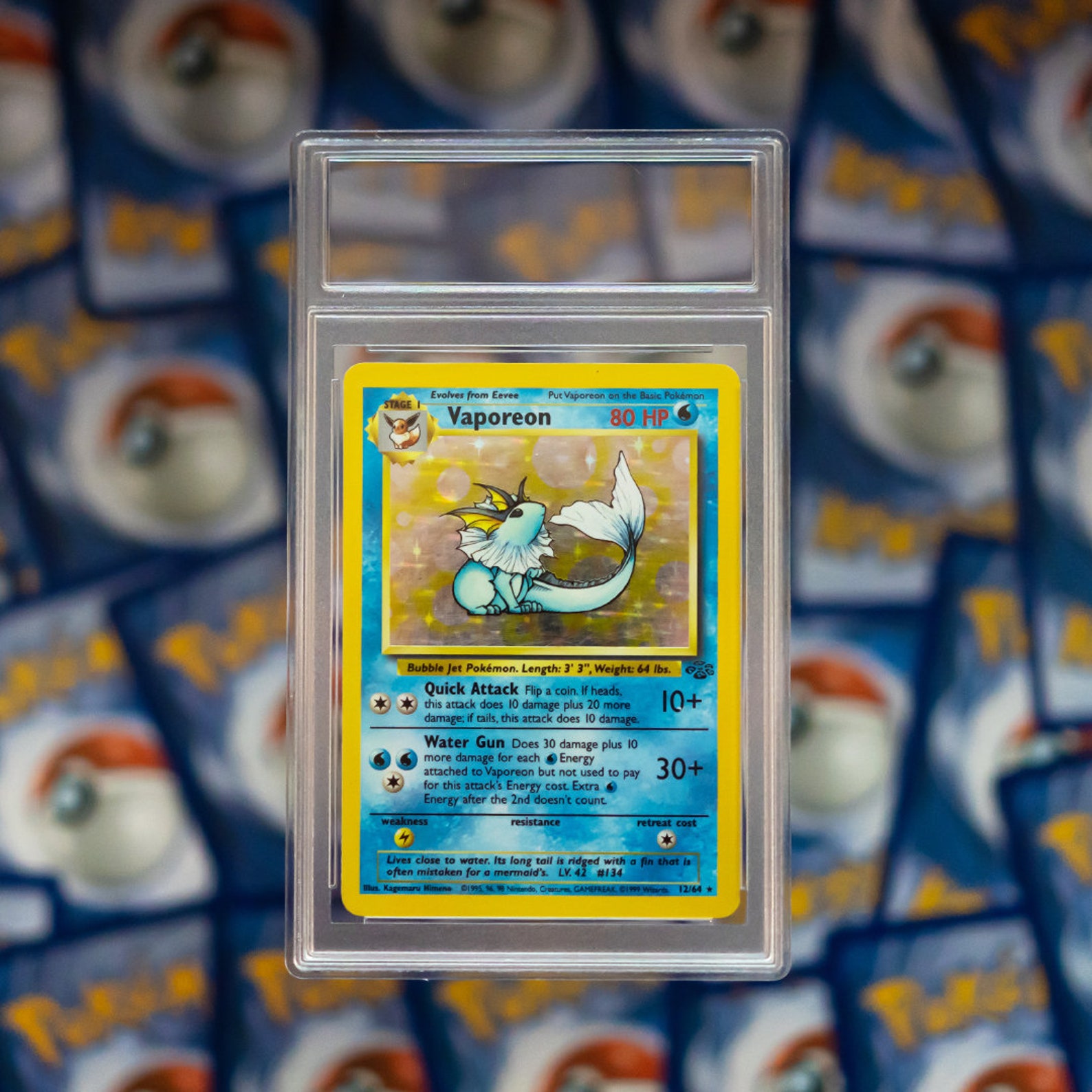 New Empty Pro Card Grading Slab Case PSABGS Pokémon Etsy