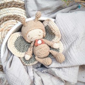 Schema all'uncinetto | Farfalla Chou | Amigurumi | PDF | Inglese | Tedesco