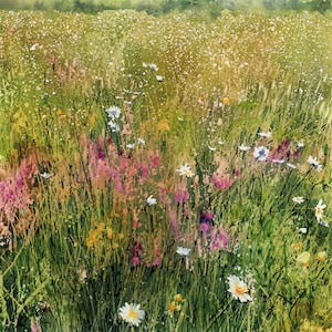 Prairie fleurie, arboretum d'Onslow : carte de voeux et impression d'art