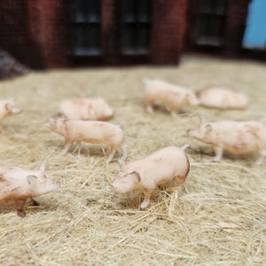 10 Stück Schweine Weide Bauernhof Stall Hausschwein