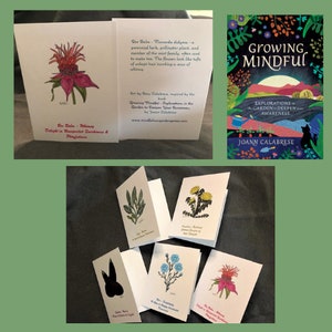 Garten Achtsamkeit Notizkarten Inspiriert vom Buch Growing Mindful Perfekt für Dankesnotizen, Geburtstagskarten und Feiern Bild 7