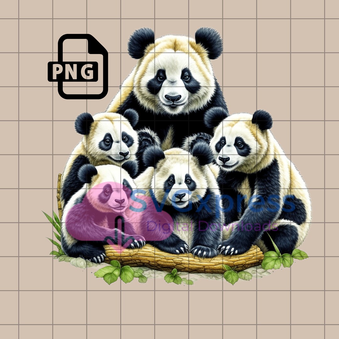 Mama Panda Bear Clip Art PNG Digital Download Panda Mom - Etsy