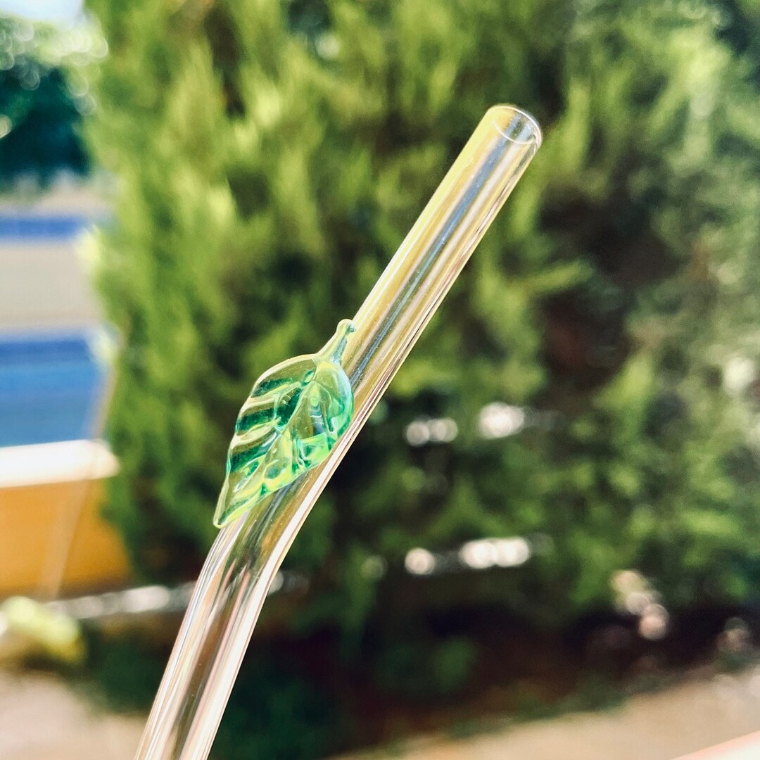 Straw Glass Straws ? Pack of 6 Straight 27 cm Long + Plastic Cleaning Brush ? Dishwasher Safe ? Sustainable ? Glass Drinking Straws for Bottles, Water