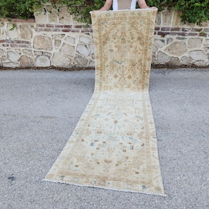 Peut inclure: Un long tapis rectangulaire beige avec un motif floral complexe. Le tapis a un motif central avec une bordure et est exposé à l'extérieur. La palette de couleurs comprend le beige, le marron et des touches de bleu. Le tapis est probablement pour la décoration intérieure.