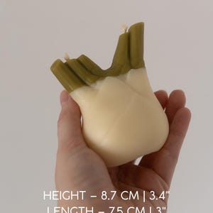 以下が含まれることがあります： 手で持たれた、フェンネルの球根の形をしたキャンドル。オフホワイトと緑色で、高さ8.7cm、長さ7.5cm、幅4cmです。キャンドルには芯が付いています。