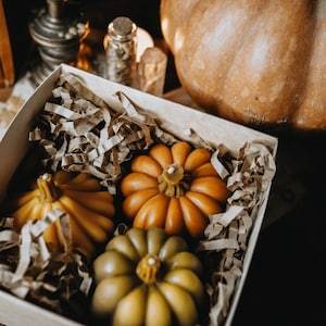 Beeswax Pumpkin Candles