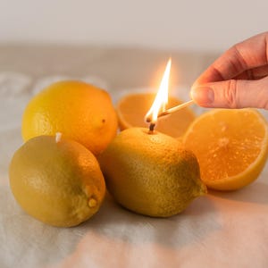 Lemon Candles, Food Candles, Real Fruit Vegetables Candles, Garden Lover Gift, Handmade Beeswax Candles Table Centerpiece